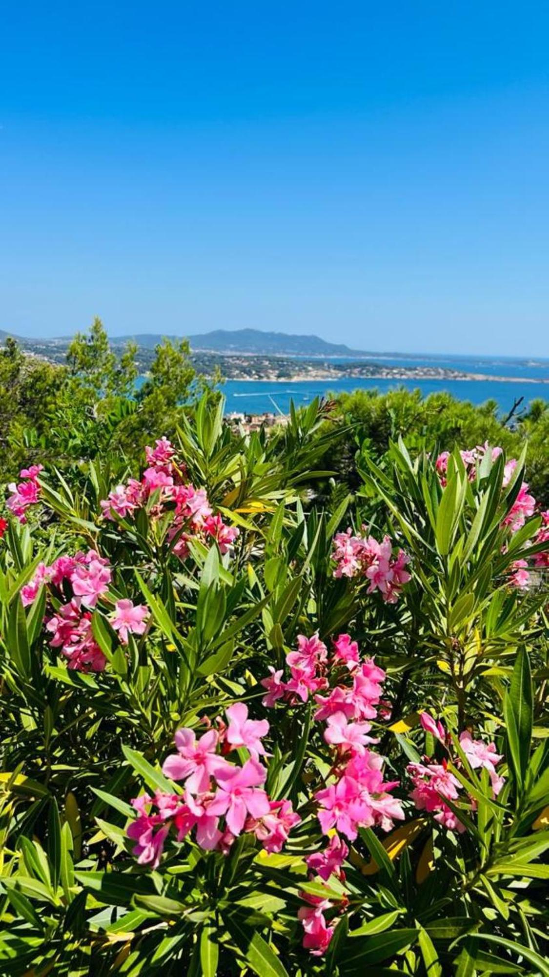 Vue Mer Imprenable Et Piscine Bandol Zewnętrze zdjęcie